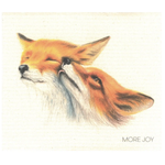 100% Biodegradable Dishcloth, Duo of Fox (9442731557151)