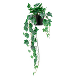 Ikea Fejka Artificial Plant, Hanging Ivy, 12cm (8750788641055)