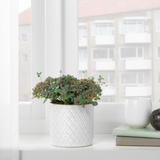 Ikea Chiafron Plant Pot, 9cm, White (8897157202207)