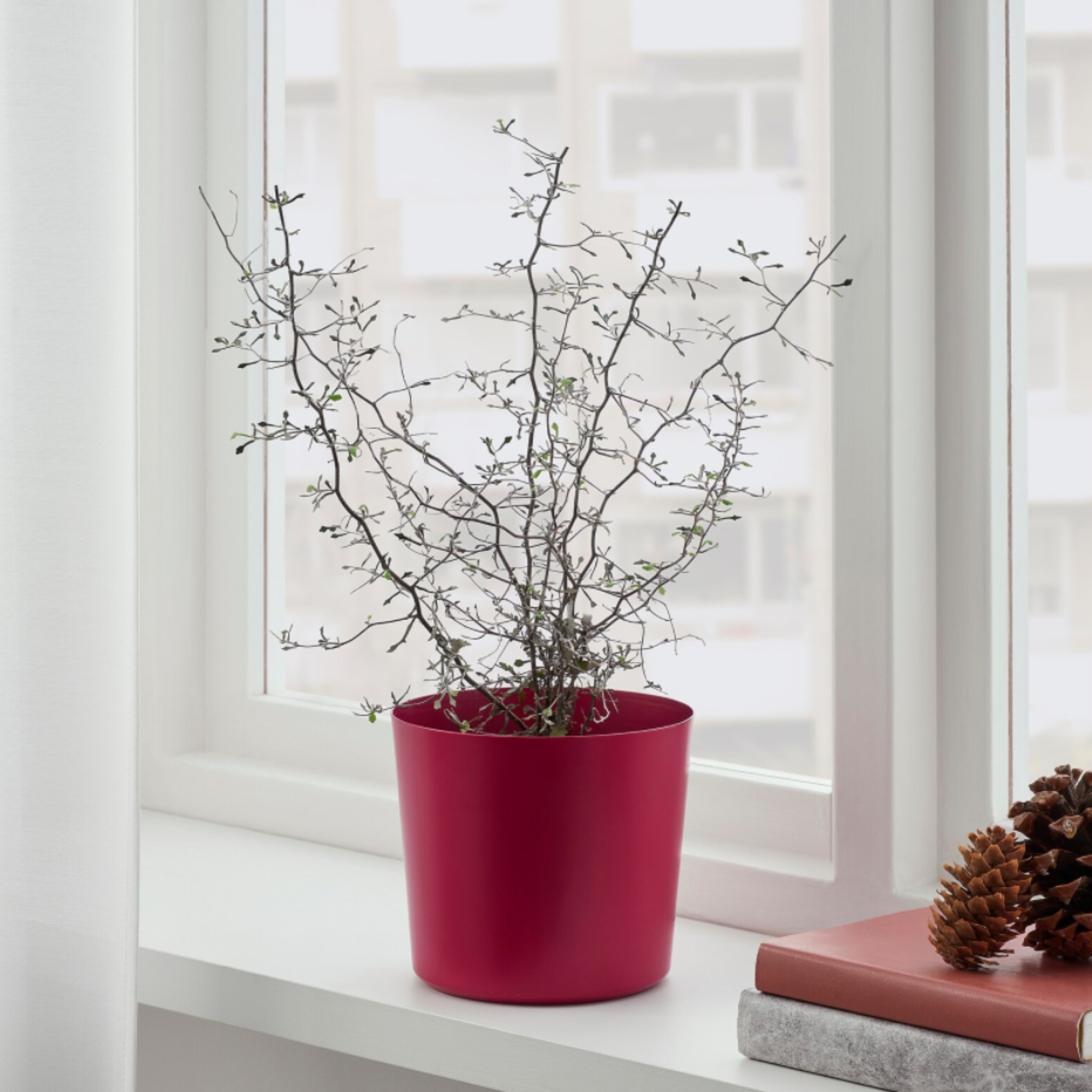 IKEA Omfang Plant Pot 15cm (4616871411777)